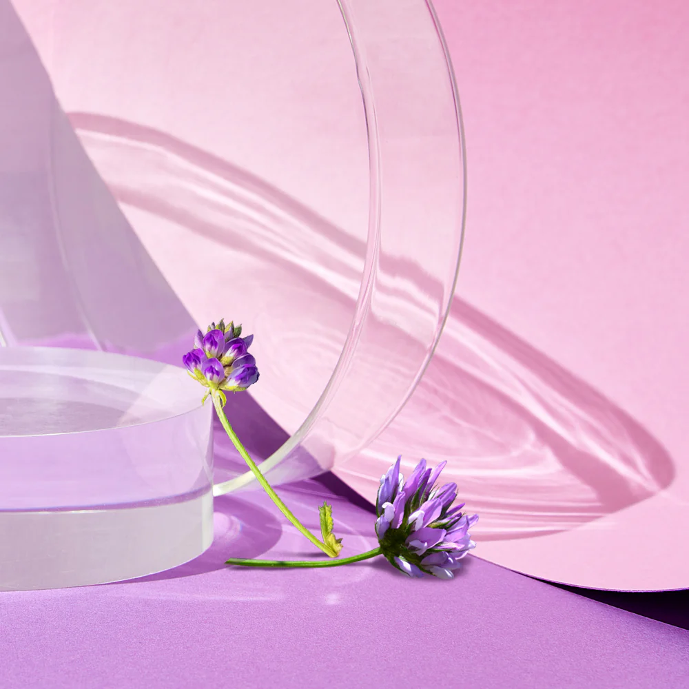 Age Defying Rejuvenating Plant-Based Retinol Alternative Eye Balm - Image 7