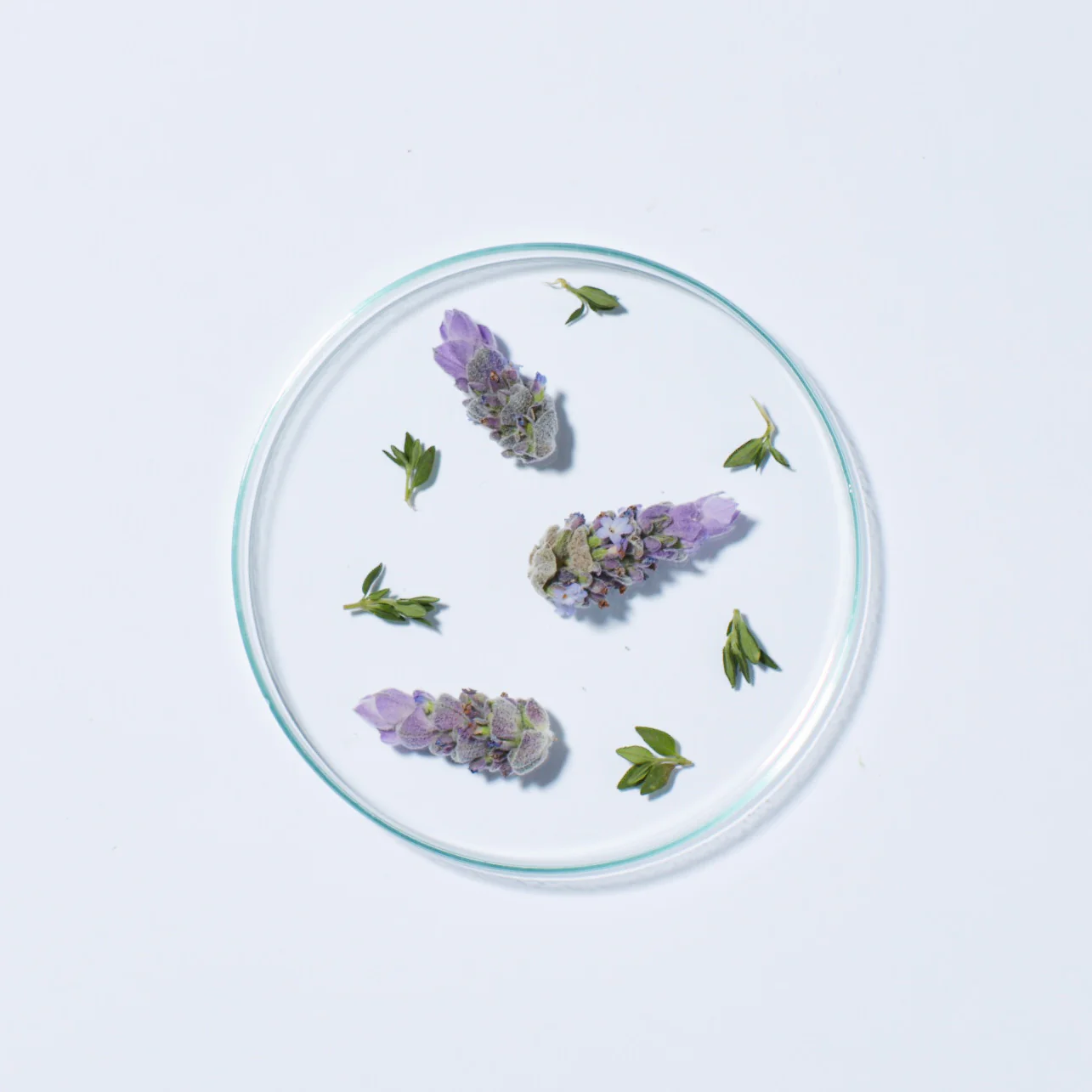 Lavender & Biotin Full Volume Shampoo - Image 3
